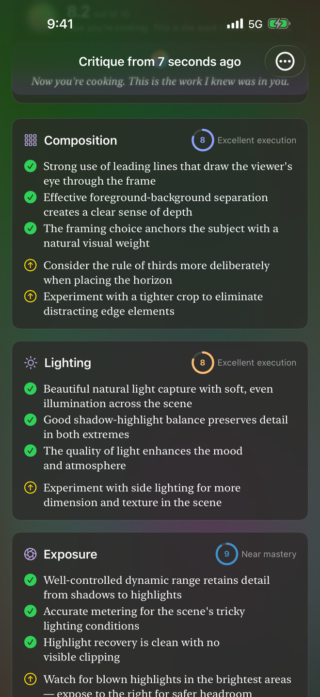 ShutterCoach skill breakdown showing detailed scores across composition, lighting, and color