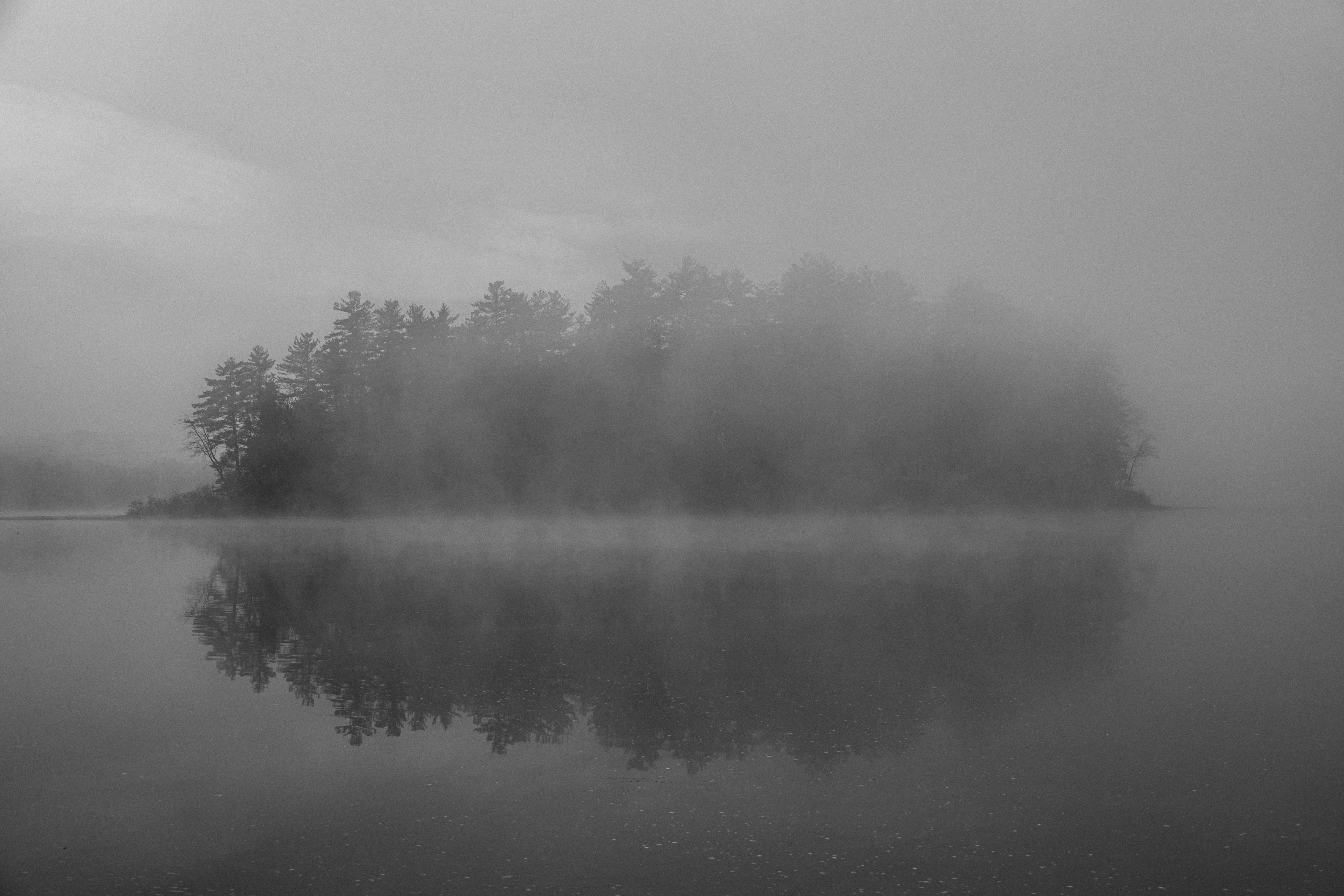 Foggy lake with island and pine tree reflection in black and white